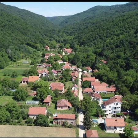 Domacinstvo Trifunovic Apartment Pretresnja Екстериор снимка