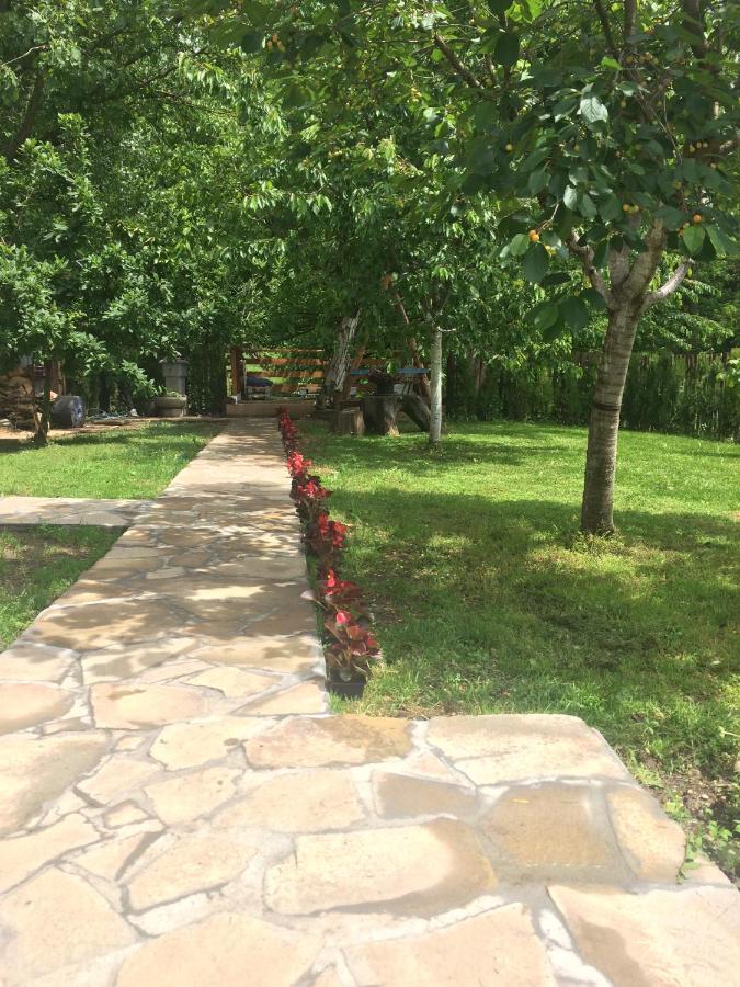 Domacinstvo Trifunovic Apartment Pretresnja Екстериор снимка