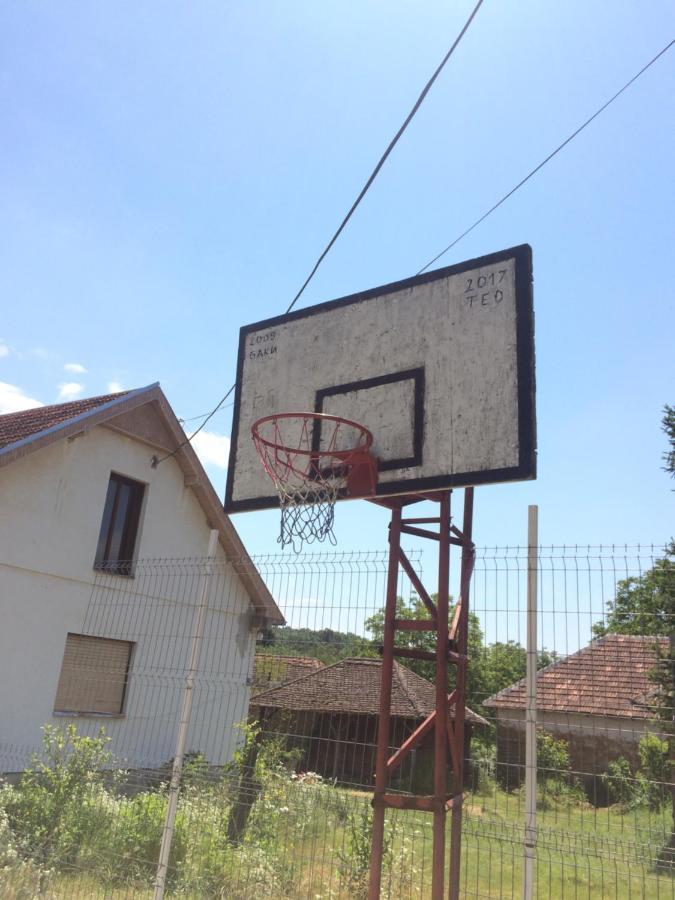 Domacinstvo Trifunovic Apartment Pretresnja Екстериор снимка