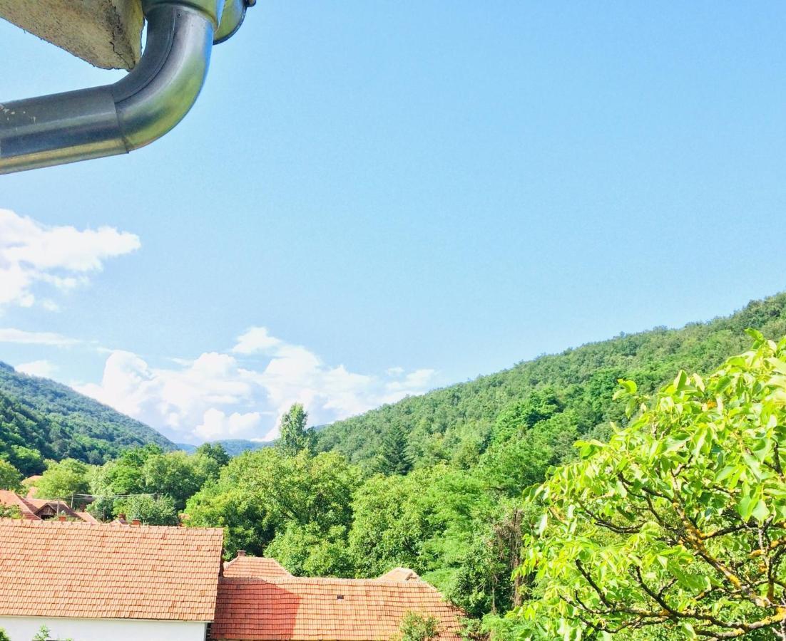 Domacinstvo Trifunovic Apartment Pretresnja Екстериор снимка