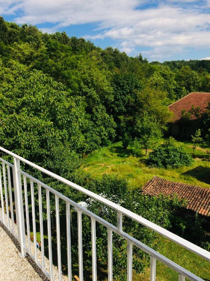 Domacinstvo Trifunovic Apartment Pretresnja Екстериор снимка