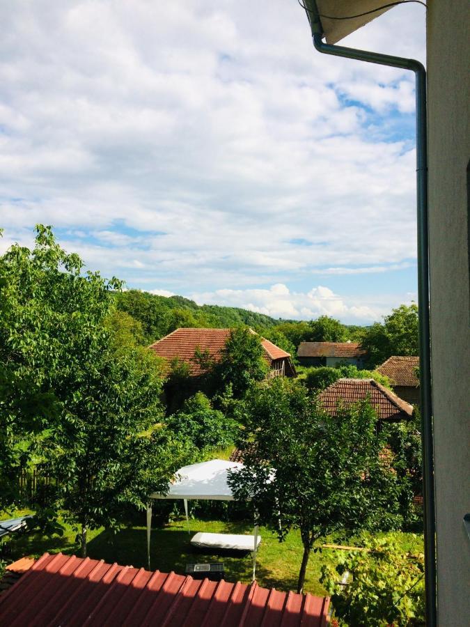 Domacinstvo Trifunovic Apartment Pretresnja Екстериор снимка