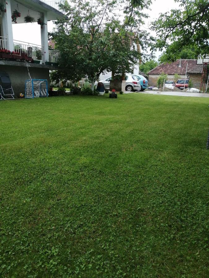 Domacinstvo Trifunovic Apartment Pretresnja Екстериор снимка