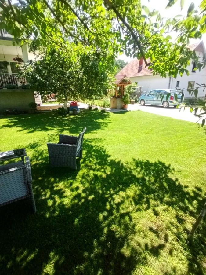 Domacinstvo Trifunovic Apartment Pretresnja Екстериор снимка