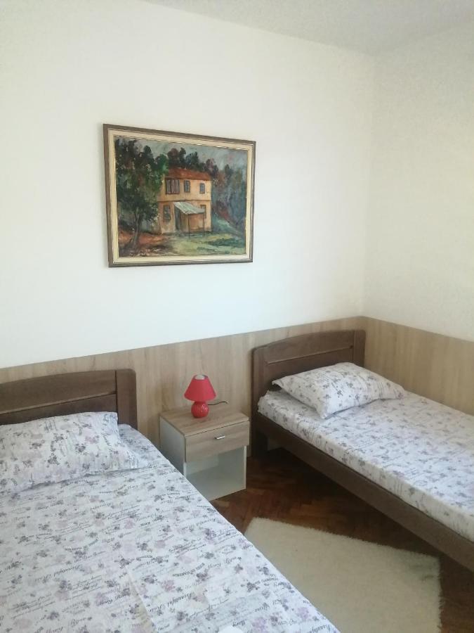 Domacinstvo Trifunovic Apartment Pretresnja Екстериор снимка