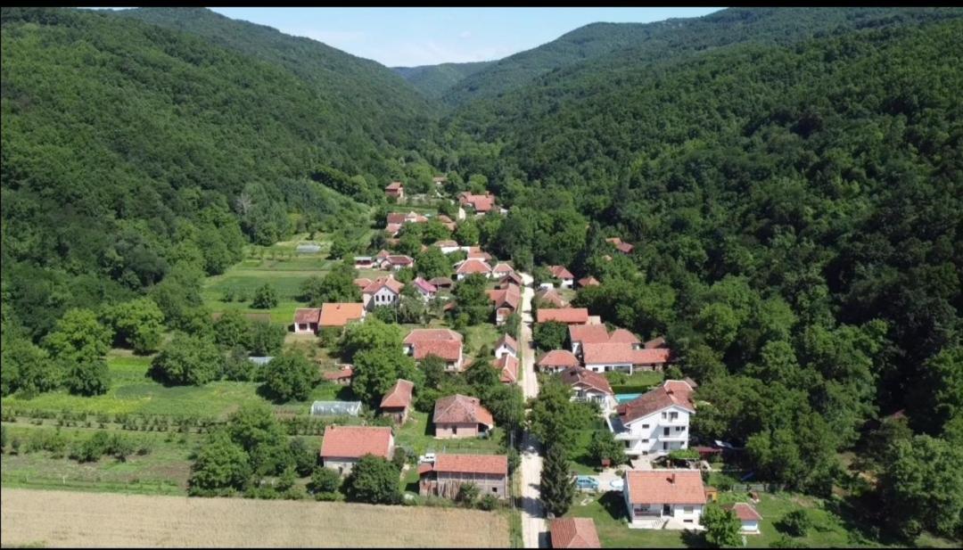 Domacinstvo Trifunovic Apartment Pretresnja Екстериор снимка