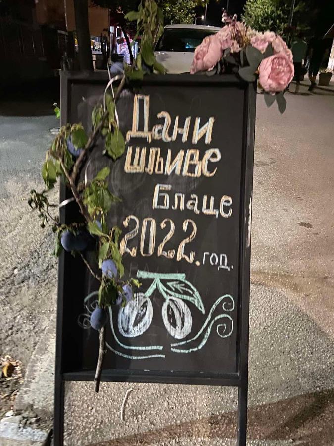 Domacinstvo Trifunovic Apartment Pretresnja Екстериор снимка